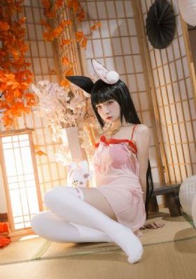 女友的姐姐
